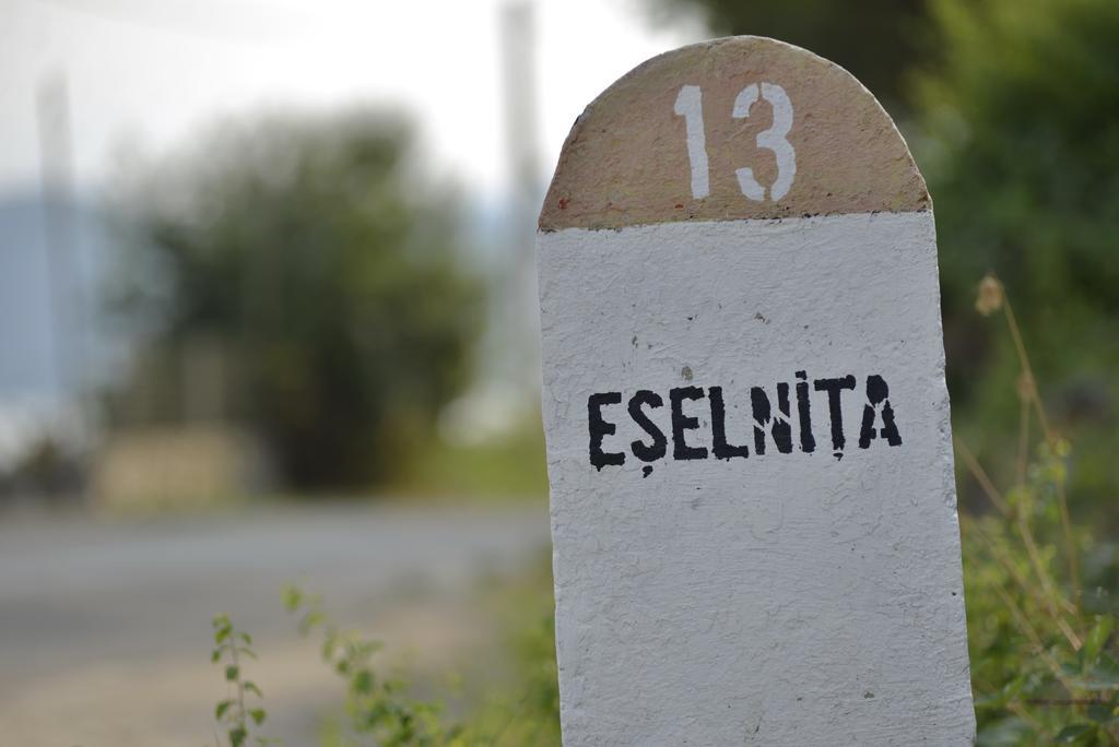 Hotel Casa Marina Ieşelniţa Exteriér fotografie